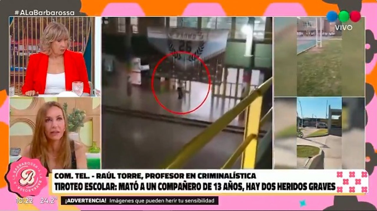 Imagen para el artículo: Analía Franchín le atribuyó responsabilidad a un videojuego por el tiroteo en la escuela de Santa Fe