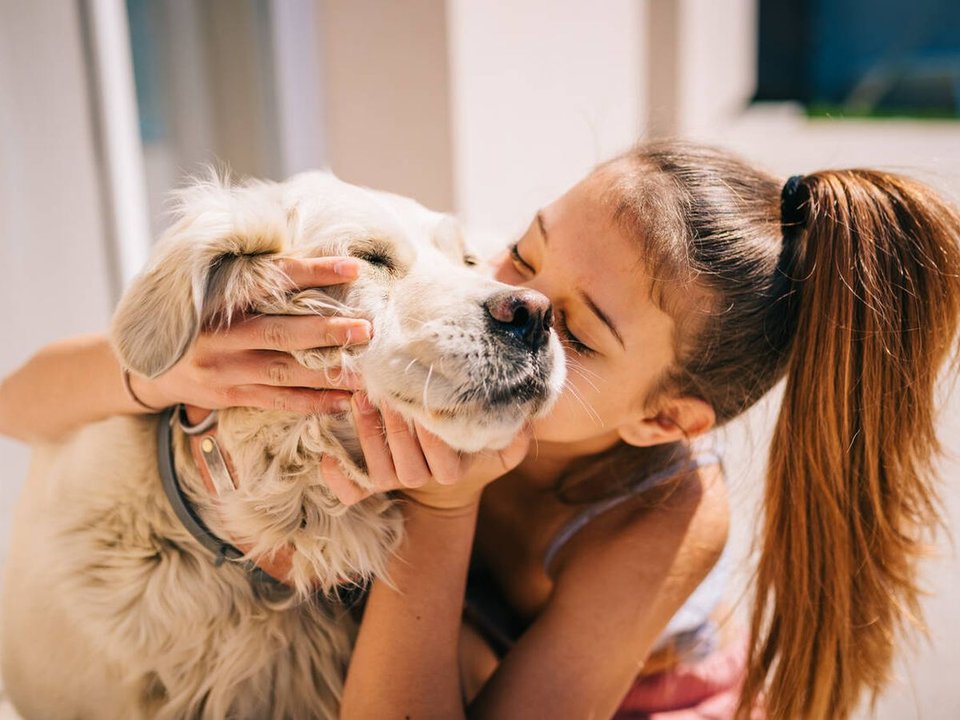 Imagen para el artículo: Cuál es el significado oculto de saludar a tu mascota antes de salir según la psicología