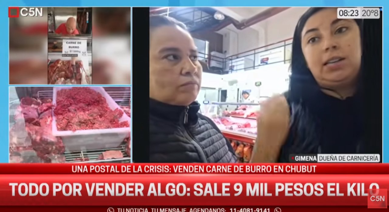 Imagen para el artículo: La venta de carne de burro en el Sur es un éxito: “Se nos agotó todo en tres días”