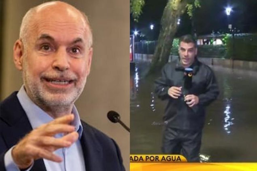 Imagen para el artículo: Insólito: el cronista TN encontró un pez en plena inundación y Larreta aprovechó el caos para pegarle a Jorge Macri