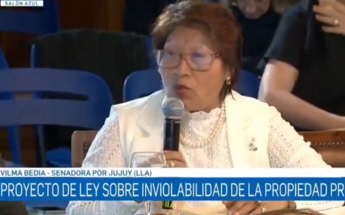 Imagen para el artículo: Senadora de Milei: “Si todos comeríamos burro tendríamos una población sana"