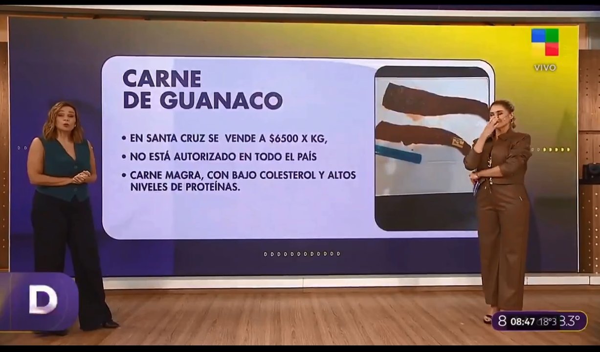 Imagen para el artículo: ¡Ahora se vende carne de guanaco! La cara de Pamela David al presentar la noticia
