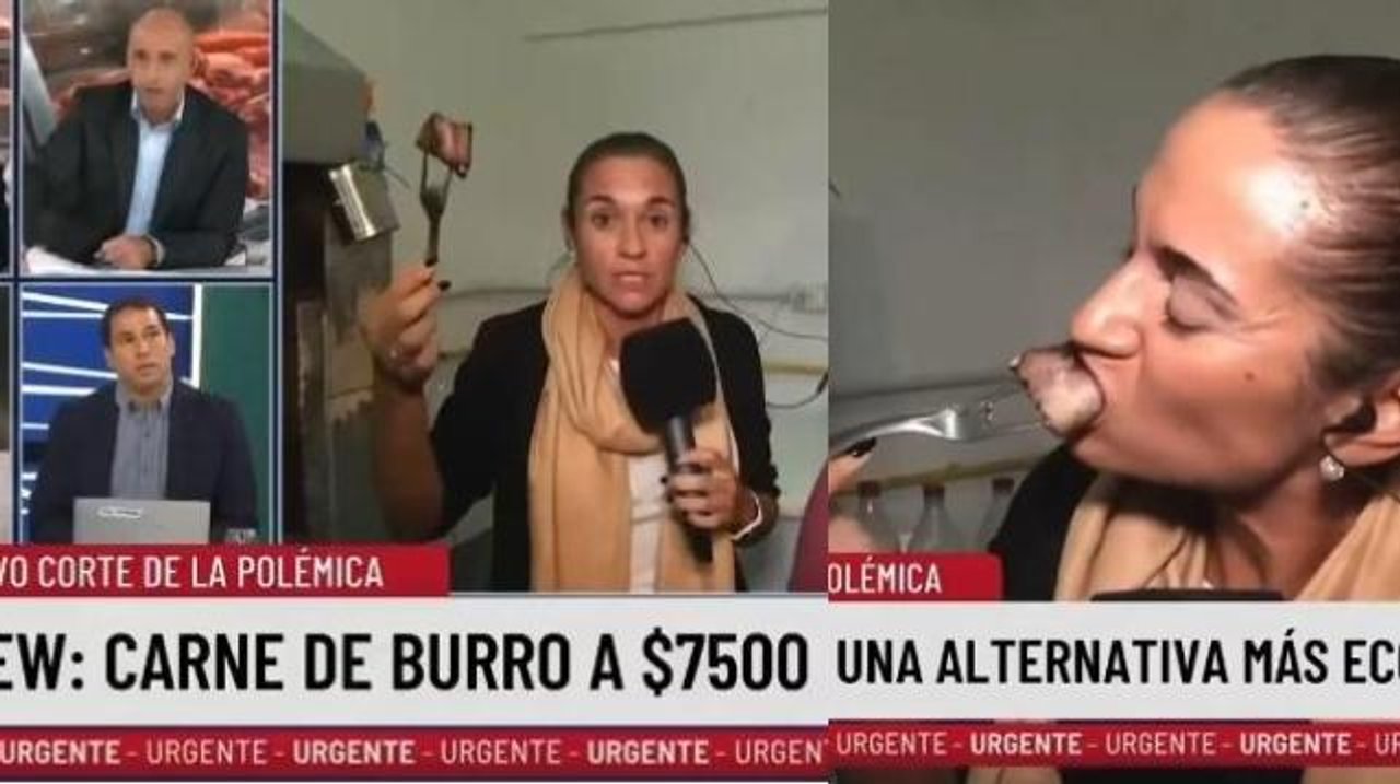 Imagen para el artículo: Asqueroso y desagradable: Trebucq se puso a militar la carne de burro en vivo y la cronista casi pierde la dentadura en pleno móvil