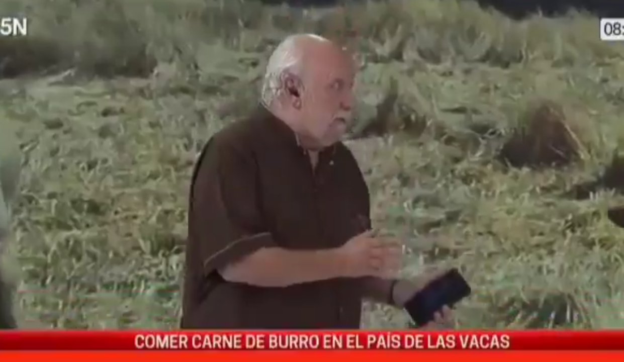 Imagen para el artículo: Alerta por carne clandestina: advierten que está prohibido el consumo de burro y que no hay controles sanitarios
