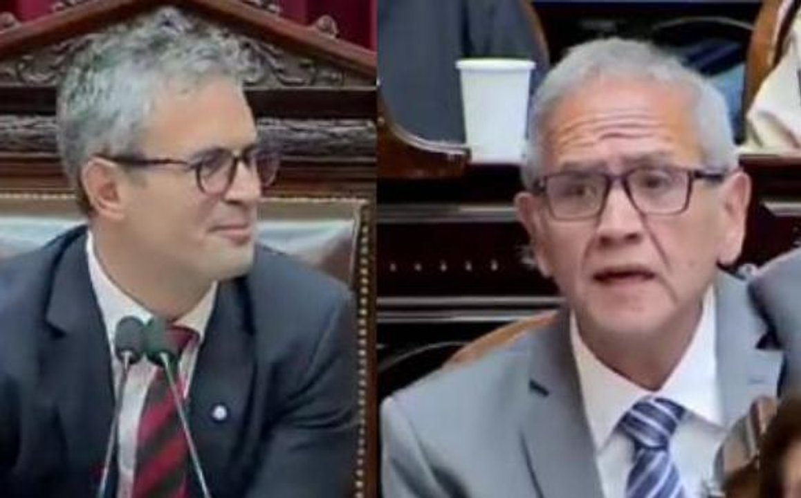 Imagen para el artículo: “Callen a los therians que se autoperciben leones”: hasta Martín Menem se tentó por la ironía de Palazzo a Milei y compañía