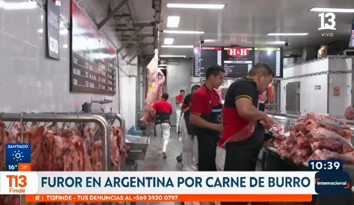 Imagen para el artículo: Una carnicería de Chubut vendió 500 kilos de carne de burro en dos días y el tema llegó a la prensa internacional