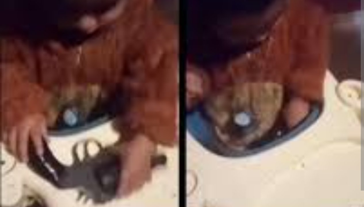 Imagen para el artículo: Terrible video de un bebé manipulando un arma de fuego: la madre fue detenida