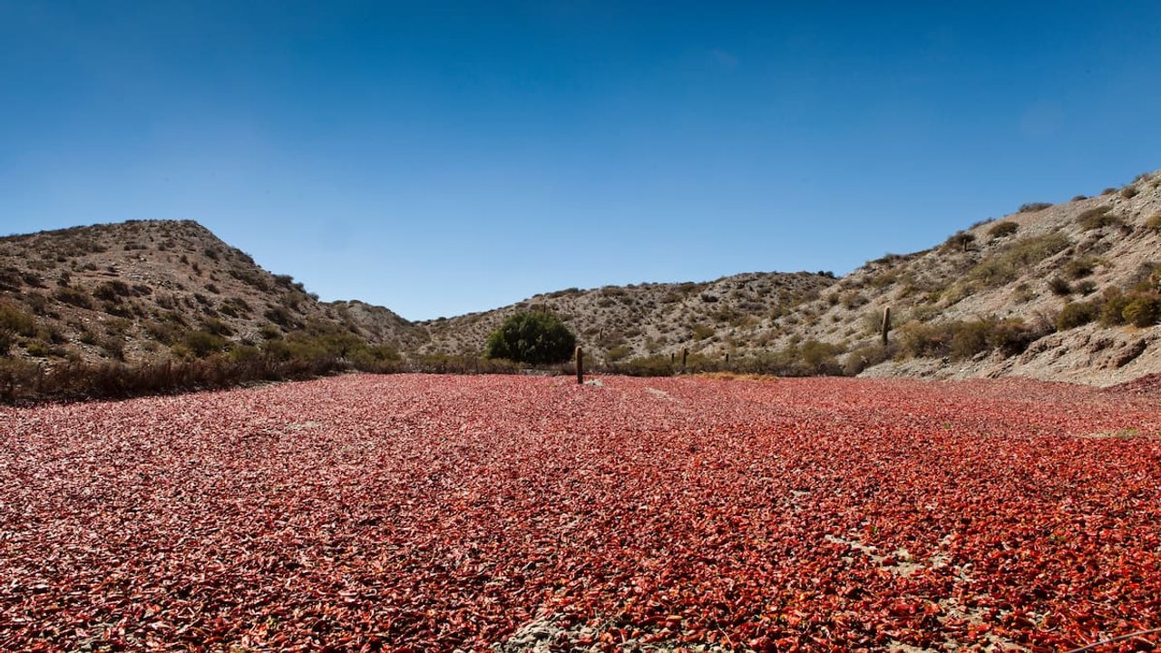 Imagen para el artículo: Este lugar de Argentina se vuelve un paraíso en otoño y es perfecto para una escapada