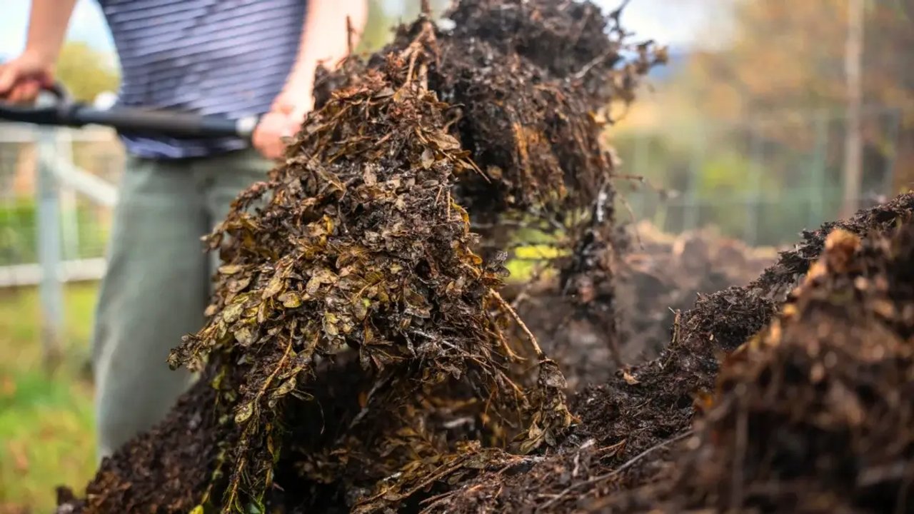 Imagen para el artículo: Esta es la iniciativa de reciclaje que se realizó en Tucumán y apuesta a la economía sustentable