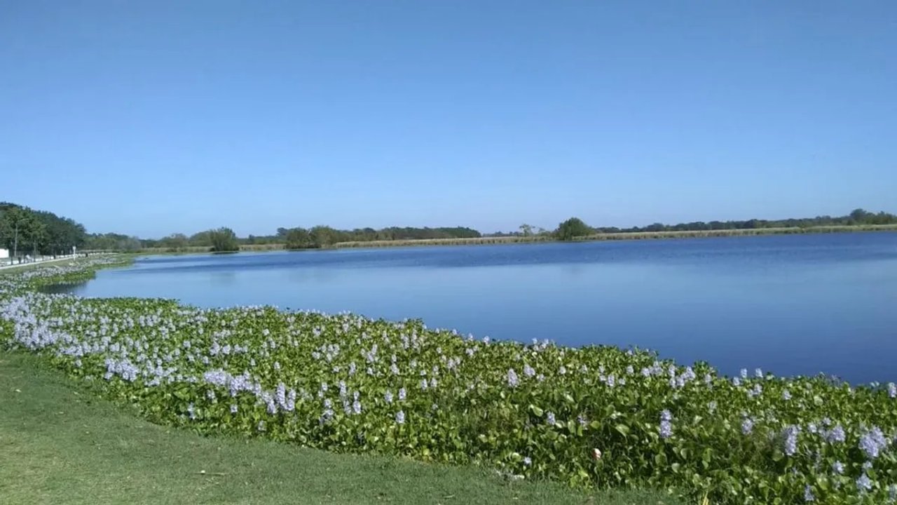 Imagen para el artículo: Este pueblo está a solo una hora de CABA; es perfecto para una escapada y permite disfrutar de la naturaleza