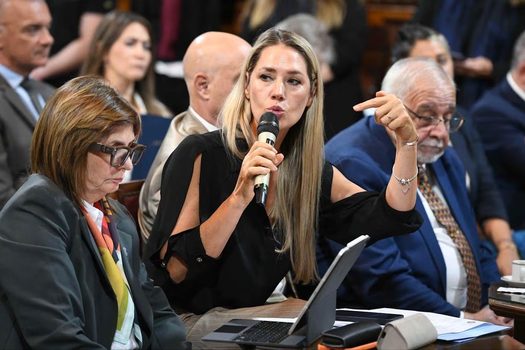 Imagen para el artículo: Abuso sexual: denunciaron penalmente a Carolina Losada por apología del crimen