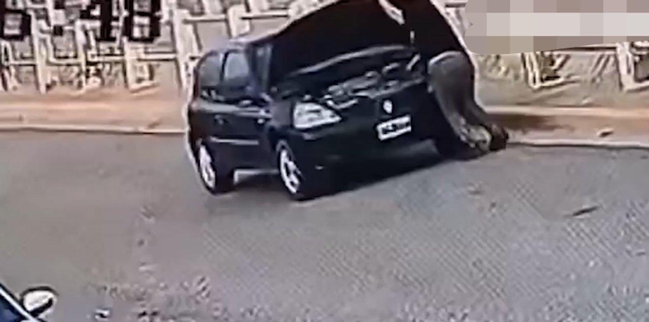 Imagen para el artículo: Insólito accidente: fue atropellada por su propio automóvil cuando revisaba la batería del vehículo