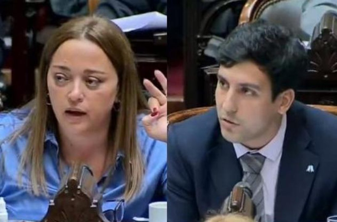 Imagen para el artículo: El papelón del libertario Visconti generó risas y Cecilia Moreau lo corrijó en plena sesión: “Se dice produjo”