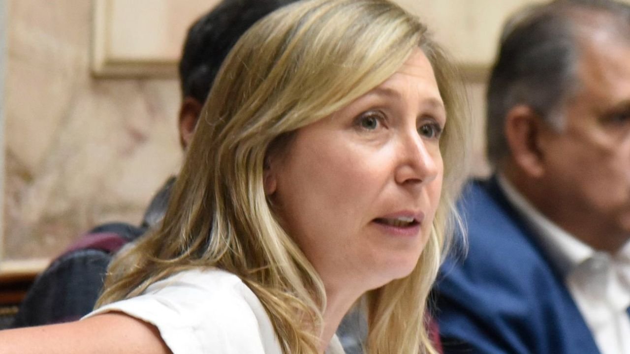 Imagen para el artículo: Myriam Bregman puso en su sitio a Martín Tetaz: “No tiene idea de cómo vive la mayoría en Bariloche"