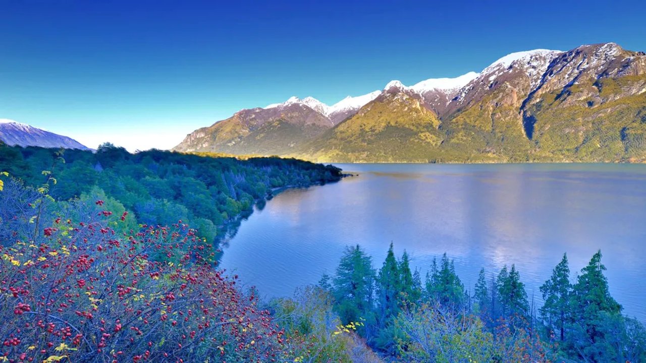 Imagen para el artículo: Refugio en la naturaleza ideal para una escapada familiar: este es el destino destacado de la Patagonia