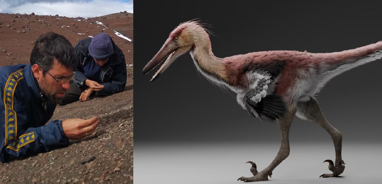 Imagen para el artículo: Descubrieron en Santa Cruz una nueva especie de dinosaurio que resolvería una incógnita histórica sobre la Antártida