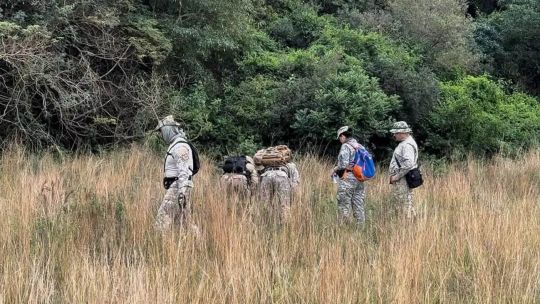 Imagen para el artículo: Caso Loan: empieza la inspección ocular en la casa de Catalina y el naranjal donde lo secuestraron