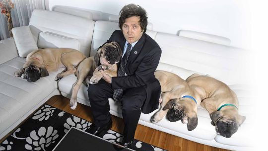 Imagen para el artículo: Los perros de Milei: ¿quién pagó el último clon?