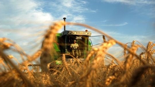 Imagen para el artículo: Del descarte al recurso: la revolución de la bioeconomía circular