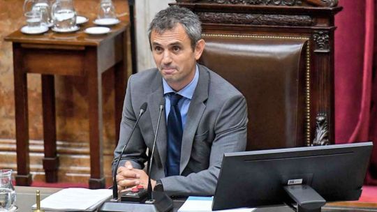 Imagen para el artículo: Rufusgate: comprobaron que la cuenta que desató la interna libertaria está asociada a Martín Menem