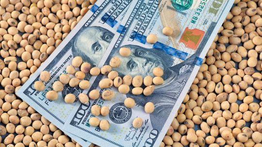 Imagen para el artículo: Más allá de la cosecha récord, el agro liquidó US$ 2.677 millones en mayo, pero acumula una baja del 12% en el año