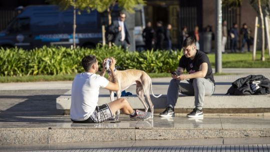 Imagen para el artículo: Clima en Ciudad de Buenos Aires: feriado patrio con sol, ambiente agradable y sin lluvias en el AMBA