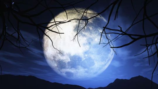 Imagen para el artículo: Luna llena de julio 2026: cuándo se verá en Argentina y por qué se la llama Luna del Ciervo