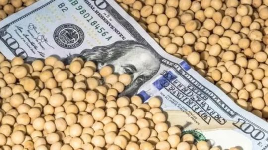 Imagen para el artículo: Fuertes subas de precios de soja, maíz y trigo tras el anuncio de compras de China a Estados Unidos