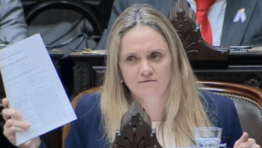 Imagen para el artículo: La diputada libertaria de Salta que admitió que usa pasajes del Congreso para su hijo