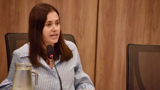 Imagen para el artículo: Zonas frías: tras la media sanción, diputada cordobesa calificó el proyecto de "feroz tarifazo en la boleta de gas"