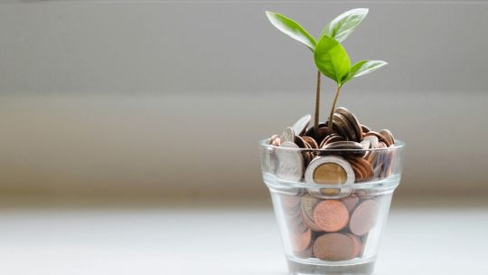 Imagen para el artículo: Agro y datos: cómo los algoritmos cambian el negocio