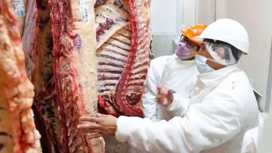 Imagen para el artículo: Exportación de carne: el Gobierno habilitó el registro para acceder a la Cuota Hilton y vender a la UE