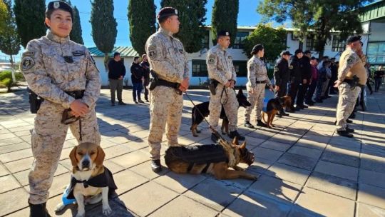 Imagen para el artículo: San Luis formó a sus primeros guías caninos