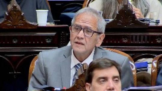 Imagen para el artículo: Un diputado habló de "therians que se autoperciben leones" e hizo delirar al Congreso