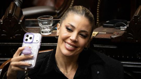 Imagen para el artículo: Virginia Gallardo en el Congreso: "Por qué no le sacás una foto a esta trompa hermosa"