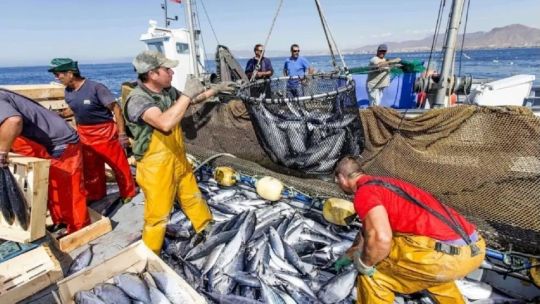Imagen para el artículo: El sector pesquero advierte que la crisis continúa pese al aumento de las exportaciones