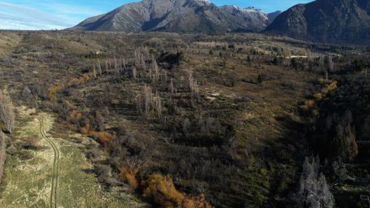 Imagen para el artículo: Boletín Oficial: extienden la declaración de estado de desastre agropecuario en Chubut por la sequía