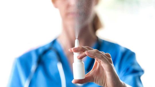 Imagen para el artículo: Cómo actúa el spray nasal que puede prevenir el contagio de hantavirus
