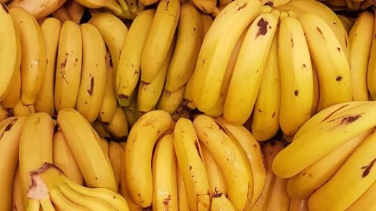 Imagen para el artículo: Situación crítica para la producción bananera de Formosa ante el aumento de las importaciones y el contrabando