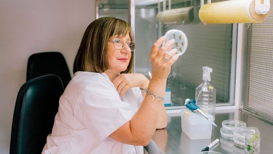 Imagen para el artículo: Una científica argentina ganó un premio mundial por sus desarrollos biotecnológicos de cultivos "antisequía"
