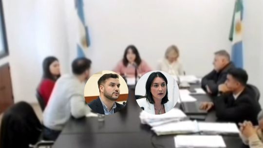 Imagen para el artículo: Feroz cruce entre diputados en una comisión de la Legislatura de Chaco por la suspensión de las PASO