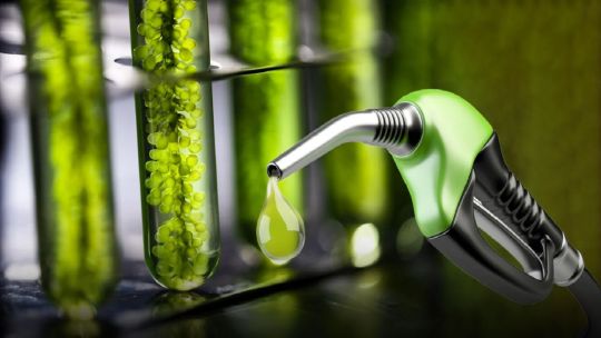 Imagen para el artículo: Por la suba del petróleo, “el biocombustible es más conveniente para mantener el precio del surtidor”