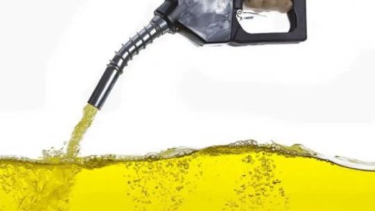 Imagen para el artículo: Nueva ley de biocombustible: “El oficialismo ha presentado un proyecto superador a la actualidad”