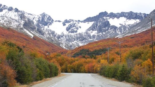 Imagen para el artículo: Otoño en Ushuaia: menos turistas, paisajes cobrizos y una experiencia distinta en el fin del mundo