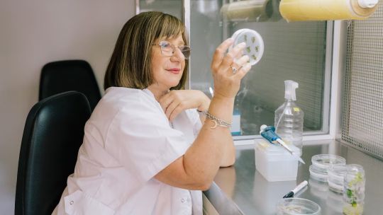 Imagen para el artículo: Quién es la investigadora del Conicet que acaba de ganar un premio internacional