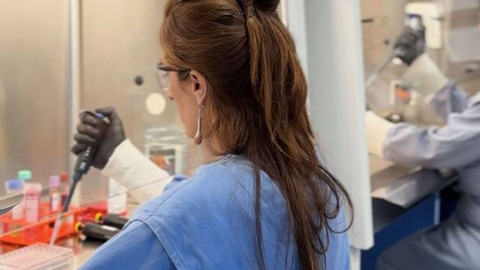 Imagen para el artículo: La UBA, más cerca de una terapia innovadora para acortar el tratamiento contra la tuberculosis