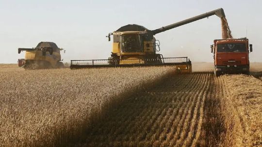 Imagen para el artículo: Balanza comercial del agro: “Argentina se posiciona con mayor ventaja en el comercio internacional”