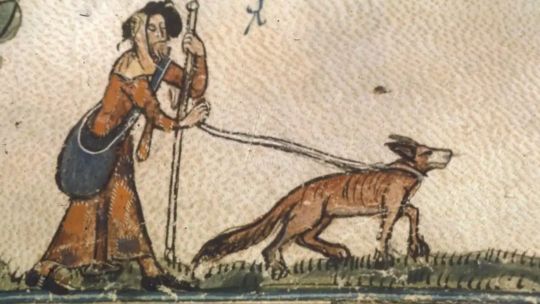 Imagen para el artículo: El enigma de los mil nombres: el manuscrito del siglo XV que revela la obsesión medieval por los perros de caza