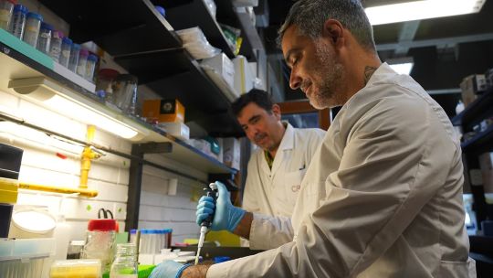 Imagen para el artículo: Científicos argentinos desarrollaron un detector barato y preciso para detectar arsénico en el agua que consumen millones de personas