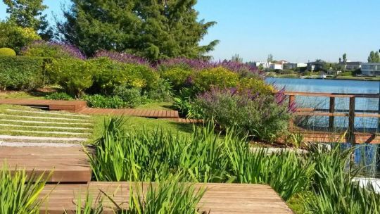 Imagen para el artículo: Cómo mantener un jardín sano y atractivo sin pasar horas cuidándolo